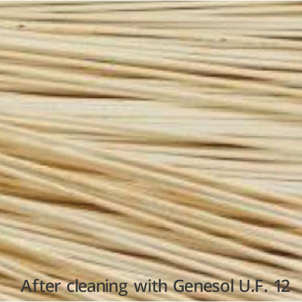 After-cleaning-with-Genesol-U.F