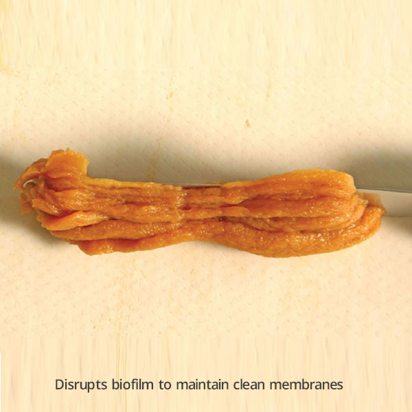 Disrupts-biofilm-to-maintain-clean-membranes
