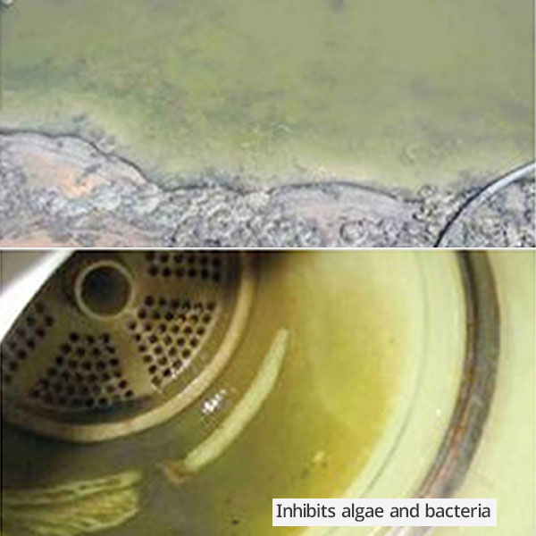 Inhibits-algae-and-bacteria