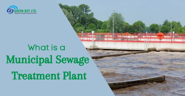 What Is A Municipal Sewage Treatment Plant?
