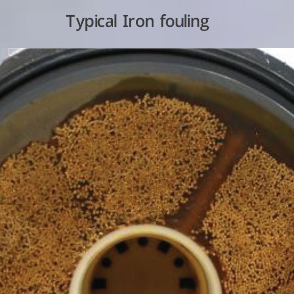 Typical-Iron-fouling